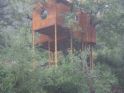 紫藤花开湖边小屋