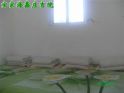 宝家海鑫庄