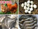 农家特色
