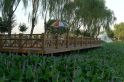 上庄水库翠湖新景渔村